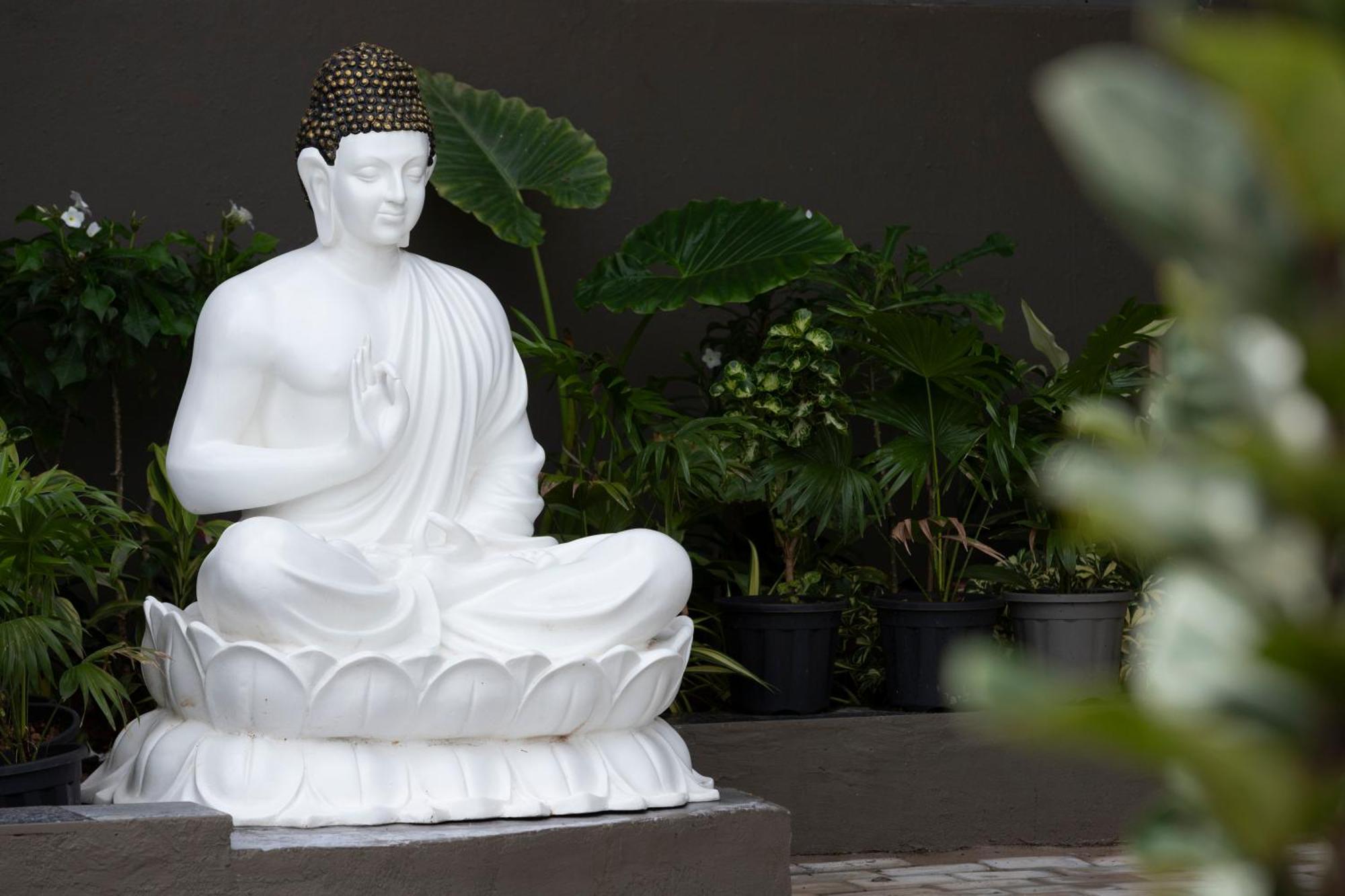 Stone Wood Hotel Amboli 암볼리 외부 사진